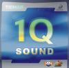 1Q Sound